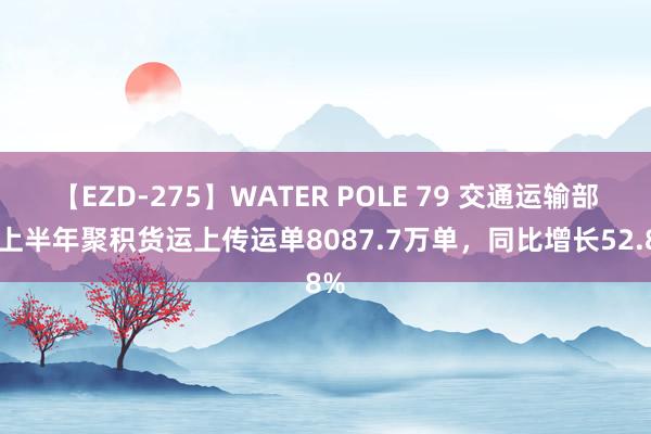【EZD-275】WATER POLE 79 交通运输部：上半年聚积货运上传运单8087.7万单，同比增长52.8%