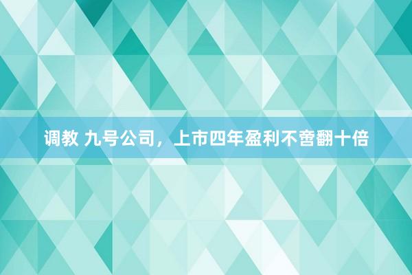 调教 九号公司，上市四年盈利不啻翻十倍