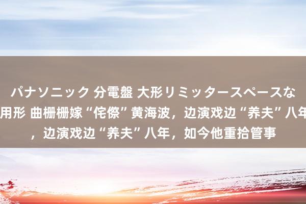 パナソニック 分電盤 大形リミッタースペースなし 露出・半埋込両用形 曲栅栅嫁“侘傺”黄海波，边演戏边“养夫”八年，如今他重拾管事
