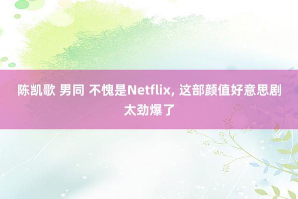 陈凯歌 男同 不愧是Netflix， 这部颜值好意思剧太劲爆了